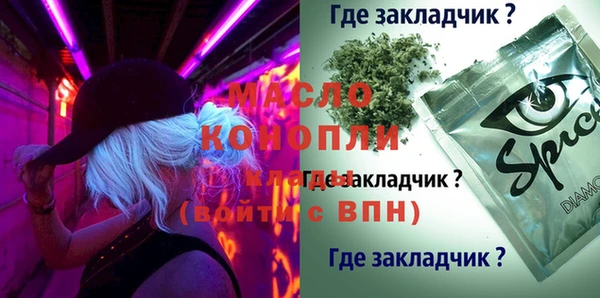 дмт Вяземский