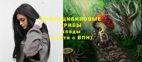 ECSTASY Володарск